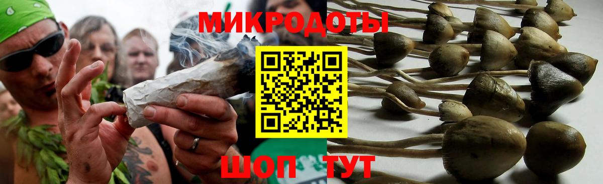 Амурск  Псилоцибиновые грибы Psilocybe  наркота  Галлюциногенные грибы Magic Shrooms  Вход с VPN 