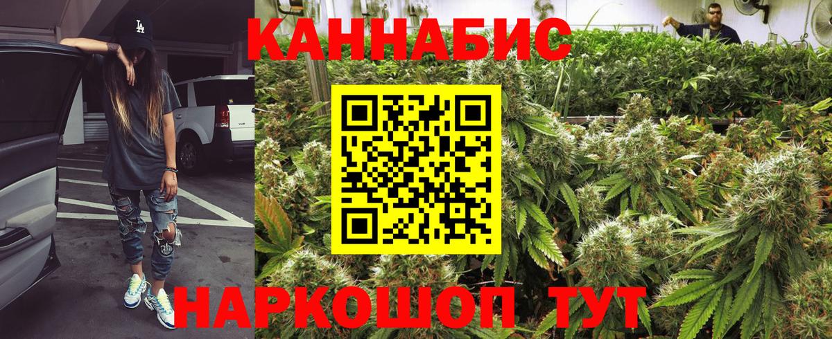 Каннабис планчик Амурск